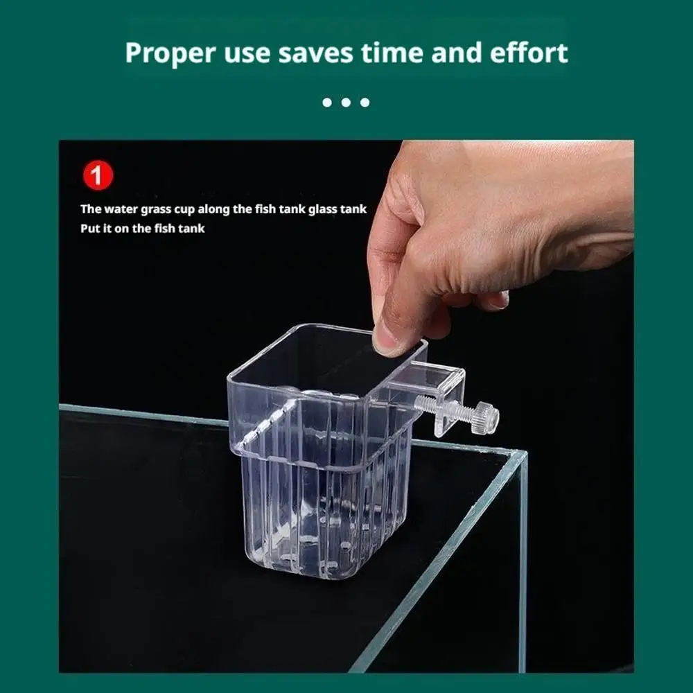 Suporte de Planta para Aquário Transparente 8 cm com Visão da Raiz - Imagem 5