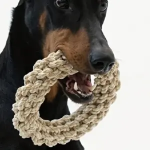 corda para cães de porte médio e grande