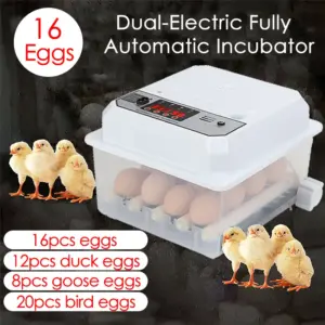 incubadora de ovos elétrica para aves
