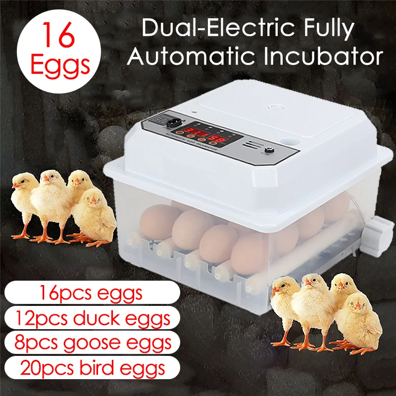 incubadora de ovos elétrica para aves