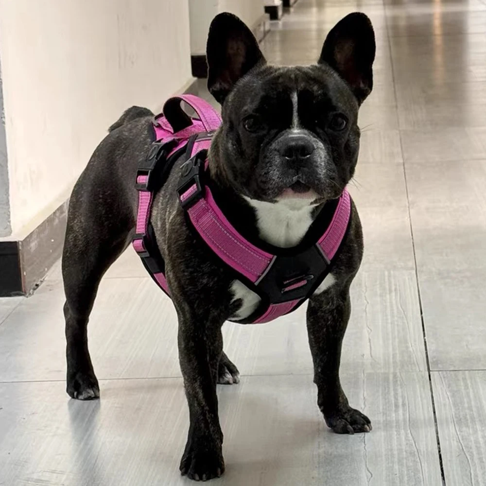 Colete Arnês para Cães Grandes Durável para Passeio - Image 6
