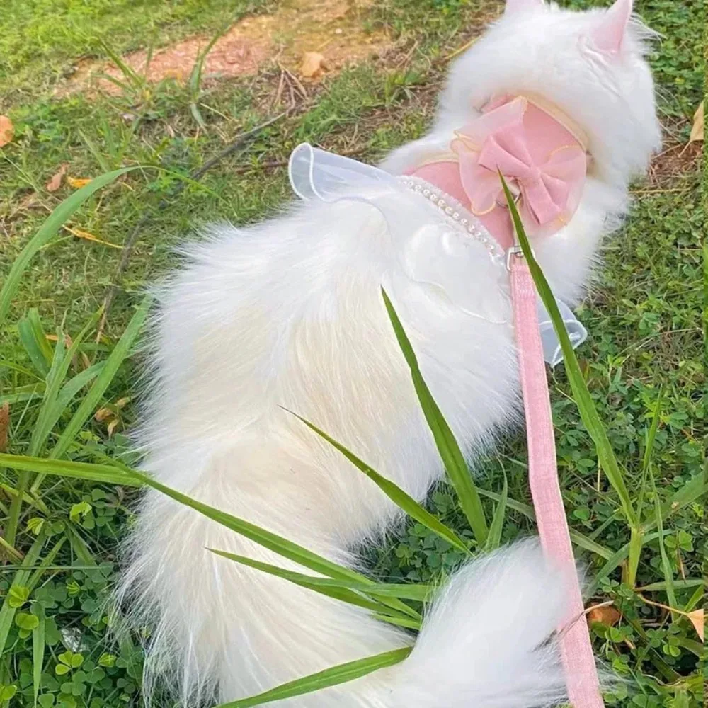 Coleira e Arnês para Gatos de Nylon com Laço e Ajuste - Image 5