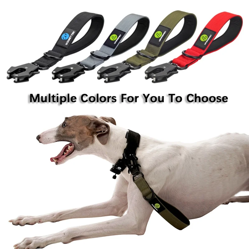Guia de Nylon para Cães Grandes 30 cm com Fivela de Metal - Imagem 3