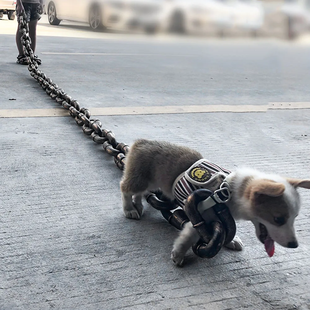 Coleira Corrente para Cães de Plástico Grosso com Cor de Ouro - Imagem 4