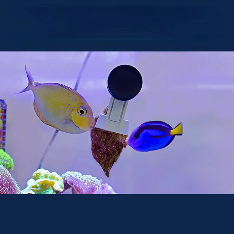 VastOcean Clipe Magnético para Algas com Ímã Forte para Aquário - Imagem 3