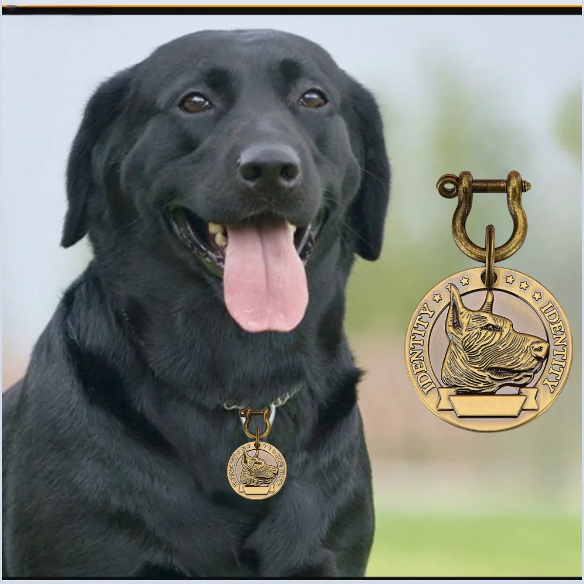 Etiqueta de Identificação para Cães e Gatos com Gravação Personalizada - Imagem 4
