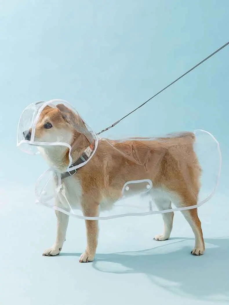Capa de Chuva para Cães Transparente com Capuz Impermeável - Imagem 6