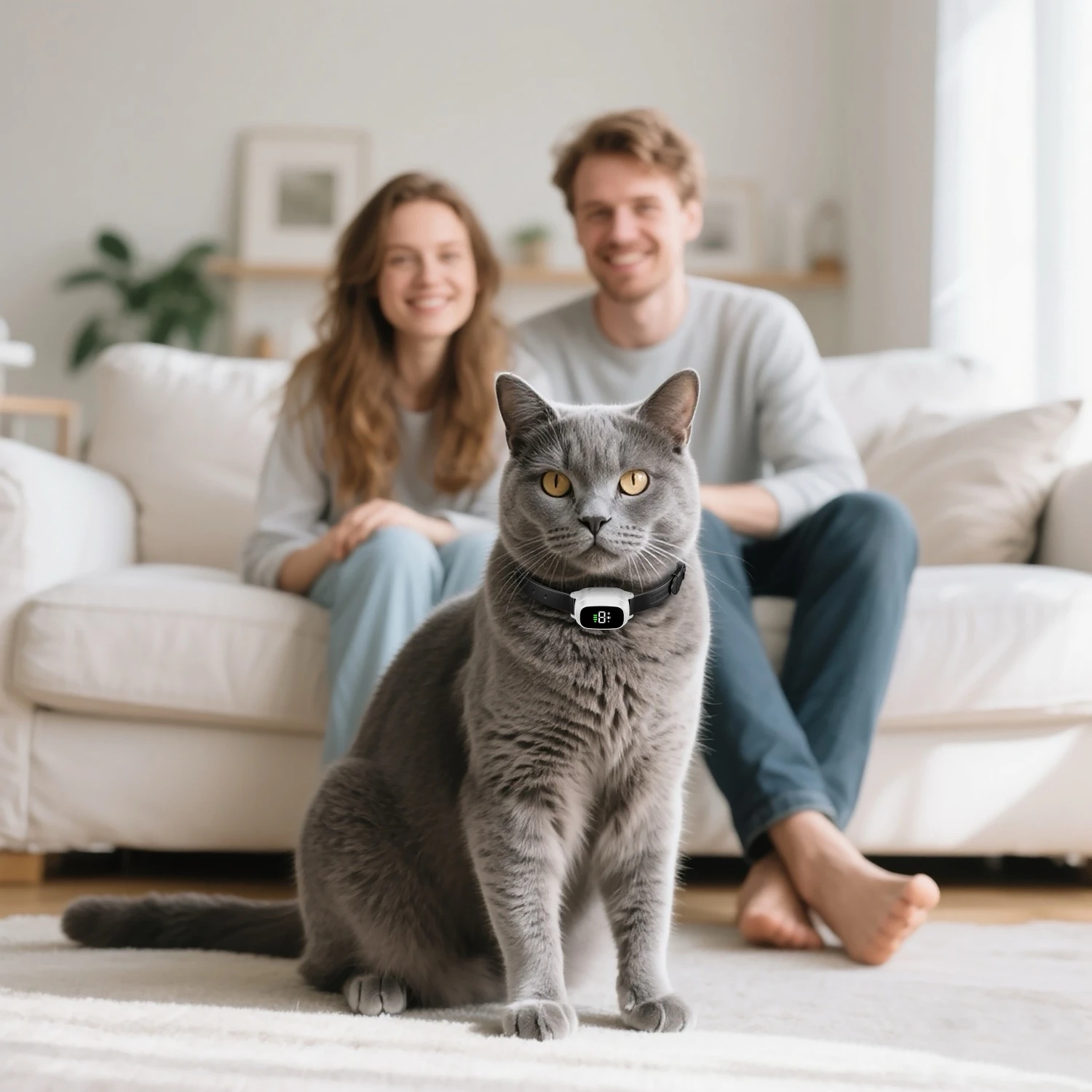 Coleira Anti-Miado para Gatos Recarregável com Display Digital - Imagem 5