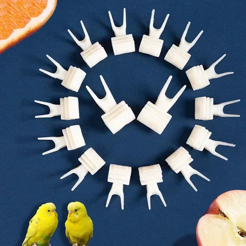 Garfo Alimentador de Plástico para Pássaros, 5 unidades, para Frutas e Legumes - Imagem 3