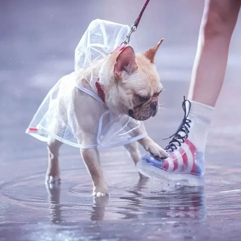 Capa de Chuva para Cães Transparente com Capuz para Passeios - Image 3