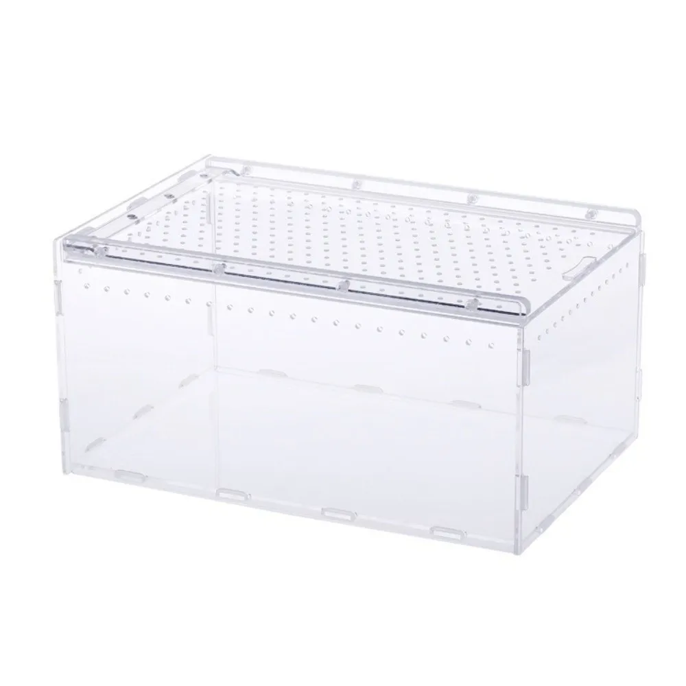 Terrário para Répteis de Acrílico Transparente 10x10x10 cm Anti-fuga - Image 2