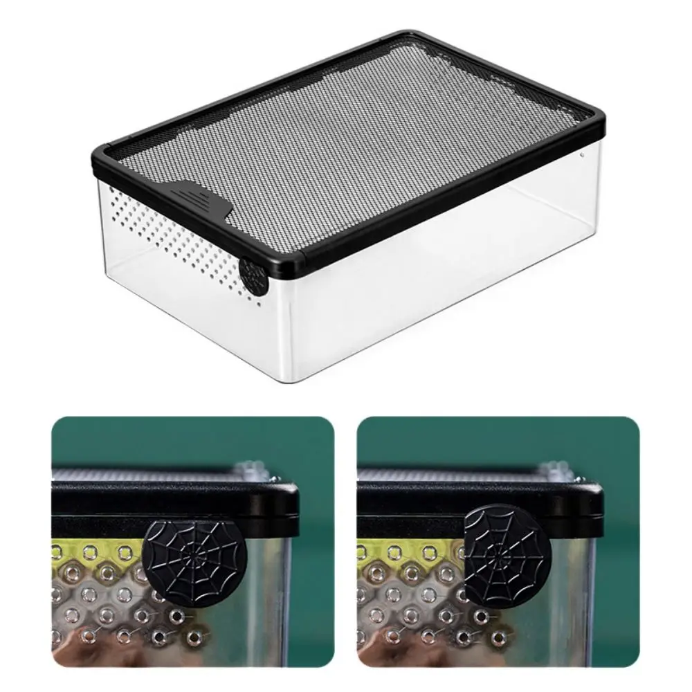 Terrário para Répteis Acrílico Transparente Anti Fuga - Image 4