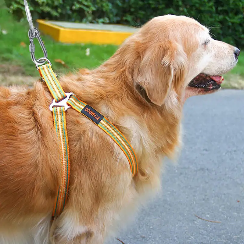 Cabo de Amarração para Cães Fio de Aço Inoxidável 2m para Área Externa - Imagem 3