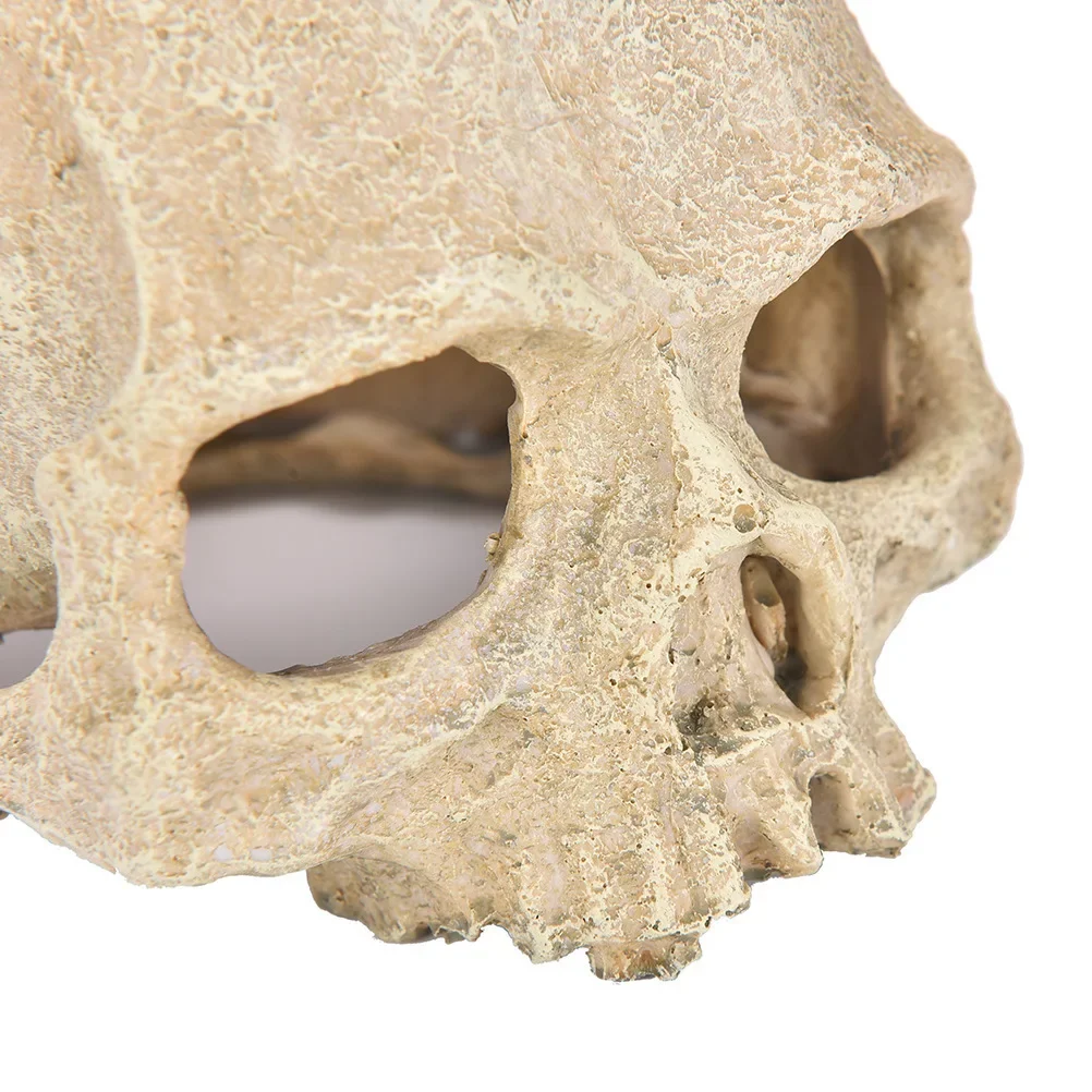 Caverna Crânio de Resina para Répteis e Aquário, Decoração de Habitat - Imagem 6