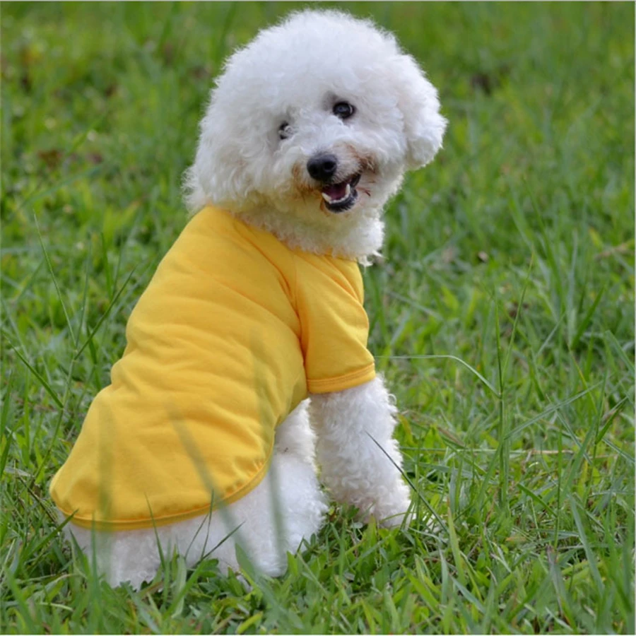 Colete Polo para Cães Pequenos de Algodão para Primavera e Verão - Imagem 4