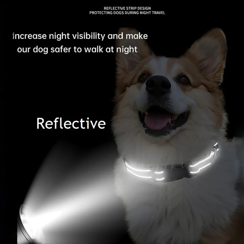 Coleira de Nylon para Cães Refletiva para Passeio Noturno - Image 3