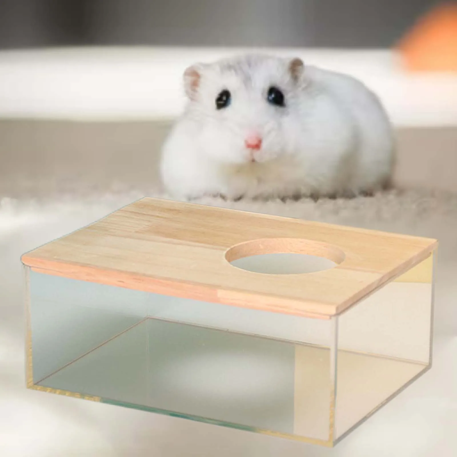 Banheira para Hamster de Acrílico e Madeira Transparente - Imagem 2