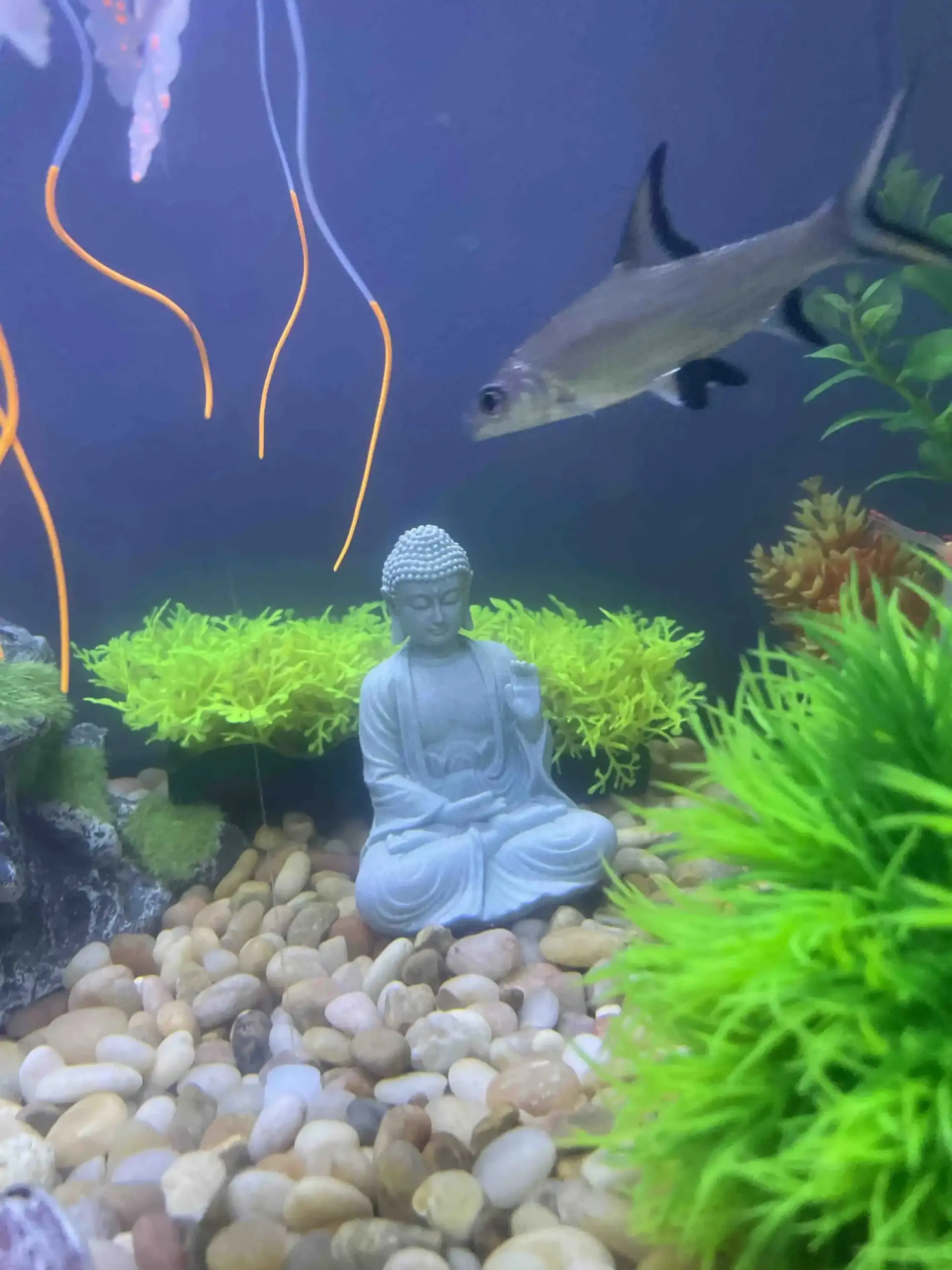 Decoração de Buda para Aquário Resina Zen para Paisagismo - Image 6