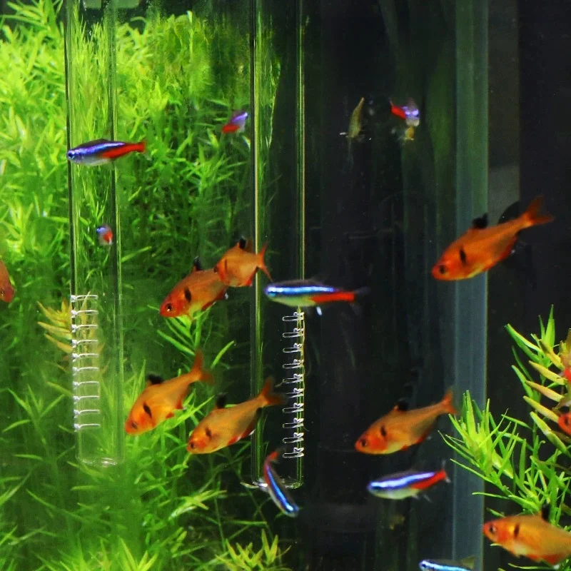 Tubo Influxo Outflow para Aquário Vidro Borosilicato 13mm/17mm - Image 5