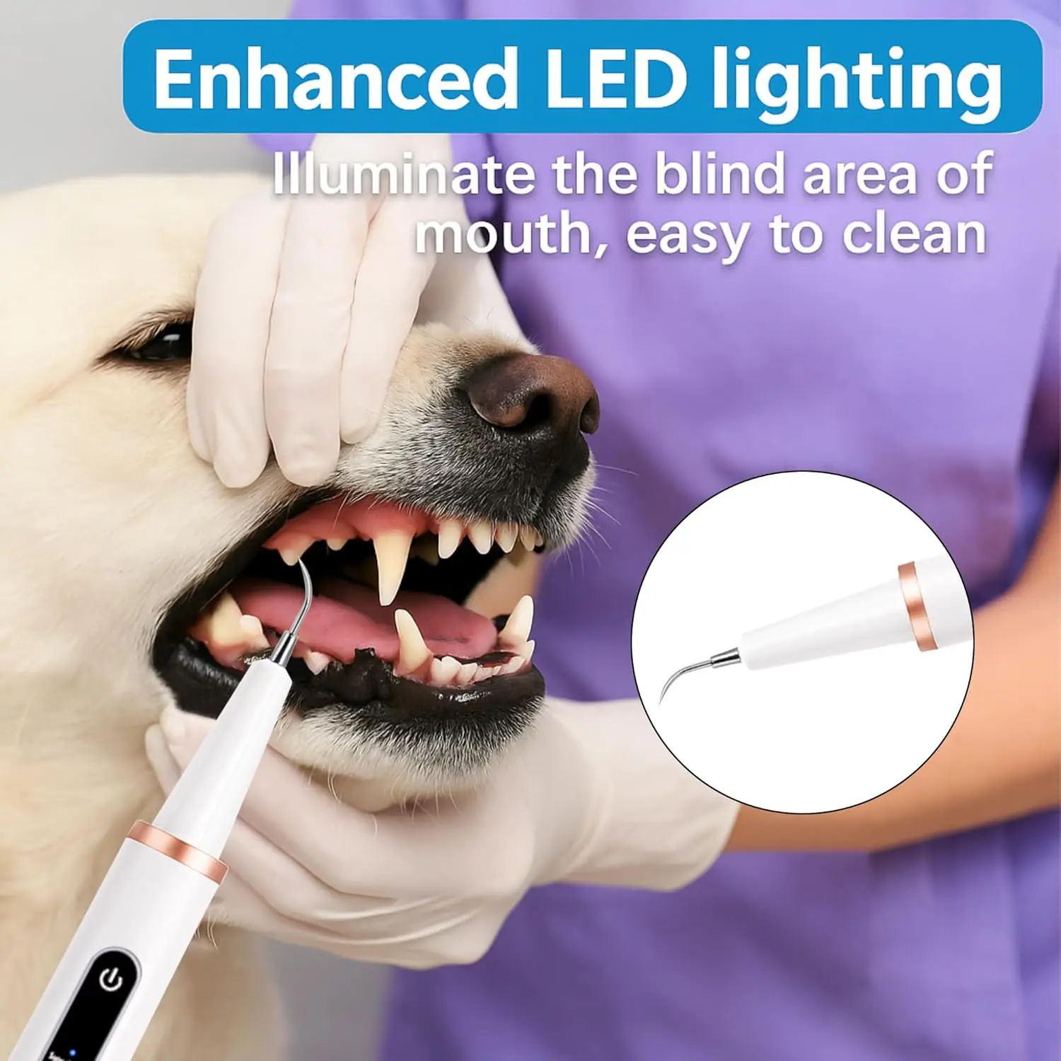 Removedor de Tártaro Ultrassônico para Cães e Gatos Doméstico - Imagem 3