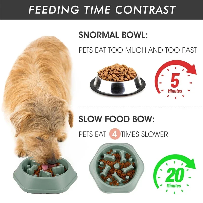 Tigela de Alimentação Lenta para Cães Pequenos e Médios Antiderrapante - Image 5