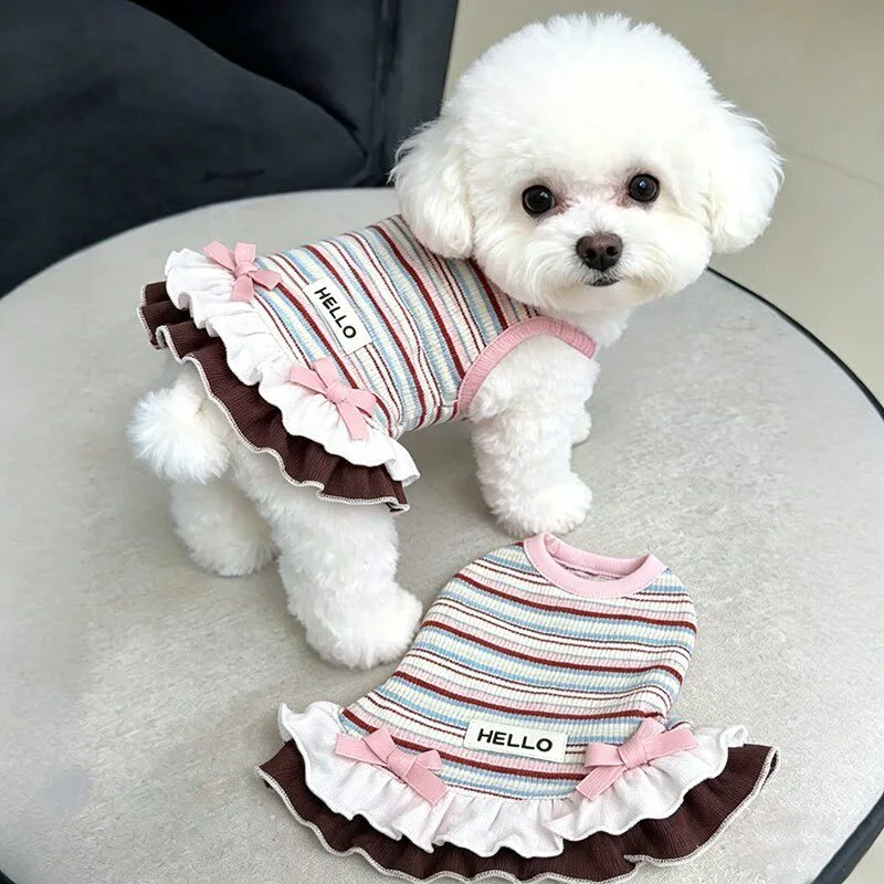 vestido para cães pequenos de renda