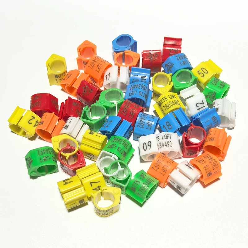 Anel de Identificação para Pombos com Nome e Número Personalizável - Imagem 2