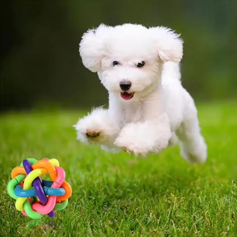 Brinquedo Bola Sino para Cães de Plástico Média 6,5 cm - Imagem 4