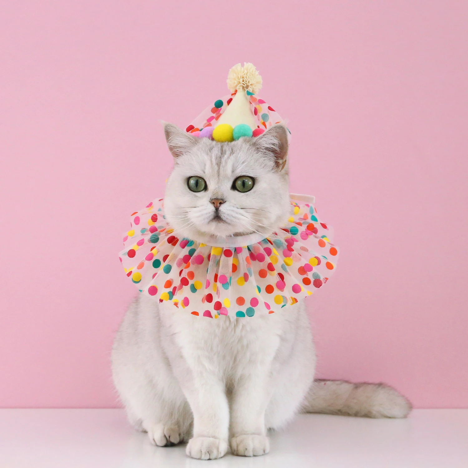 Chapéu de Aniversário para Cães e Gatos com Babador Ajustável - Image 4