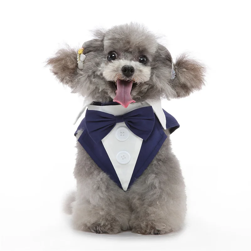 Fantasia para Cães Pequenos para Casamento, Roupa de Luxo - Imagem 4