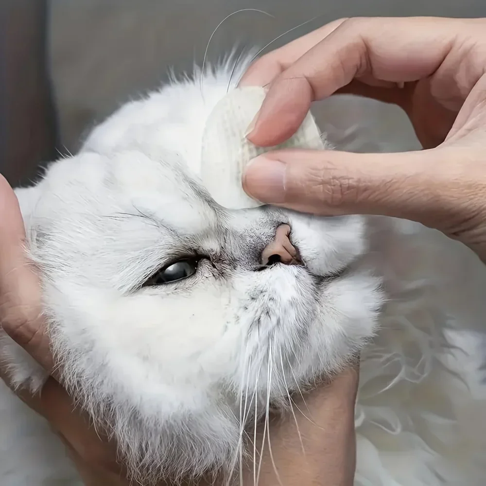 Lenços Umedecidos para Cães e Gatos 200 Unidades para Olhos - Imagem 5