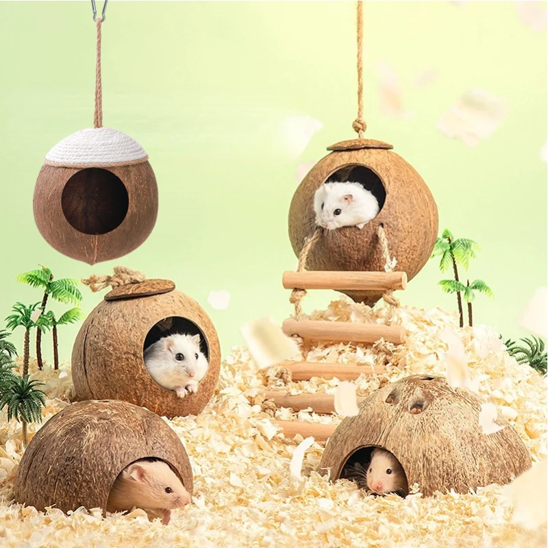 casa de coco para hamster