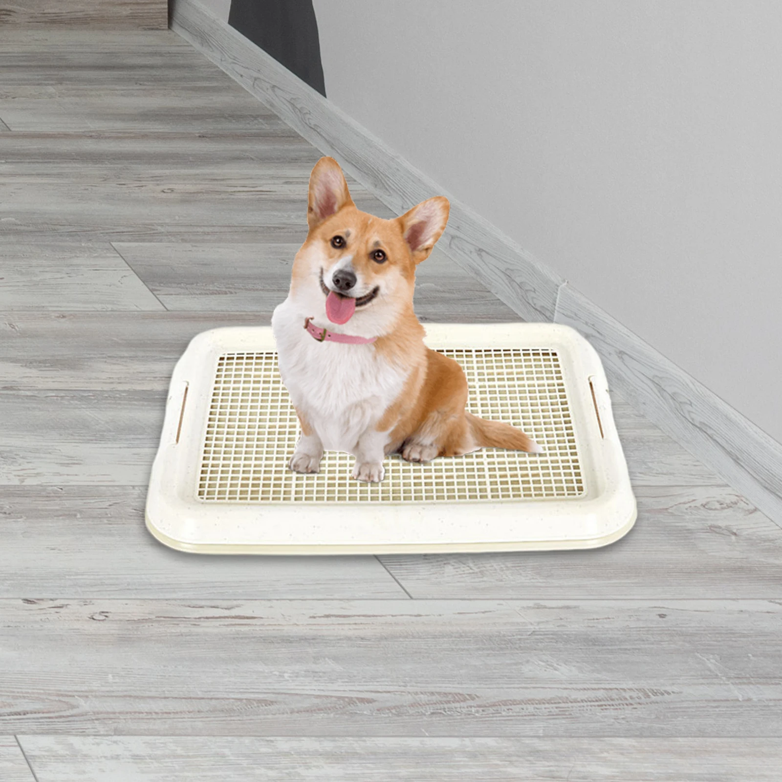 Bandeja Sanitária para Cães Pequenos e Gatos 47x35 cm Antiderrapante - Imagem 2