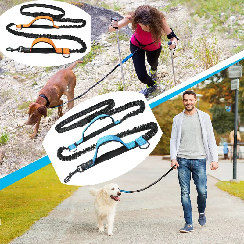 Coleira Retrátil para Cães de Nylon com Dupla Elasticidade e Faixa Refletiva - Imagem 3