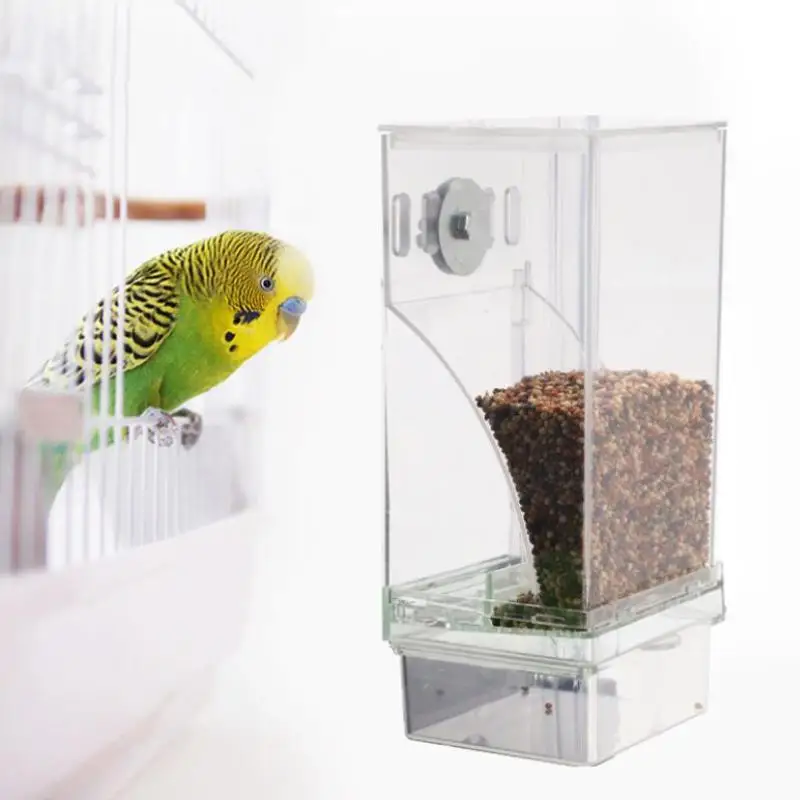 Caixa Alimentadora para Pássaros Pequenos e Médios 13x8,1 cm com Design Transparente - Imagem 6