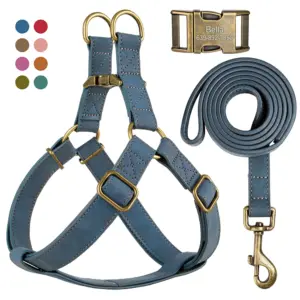 conjunto peitoral e coleira para cães