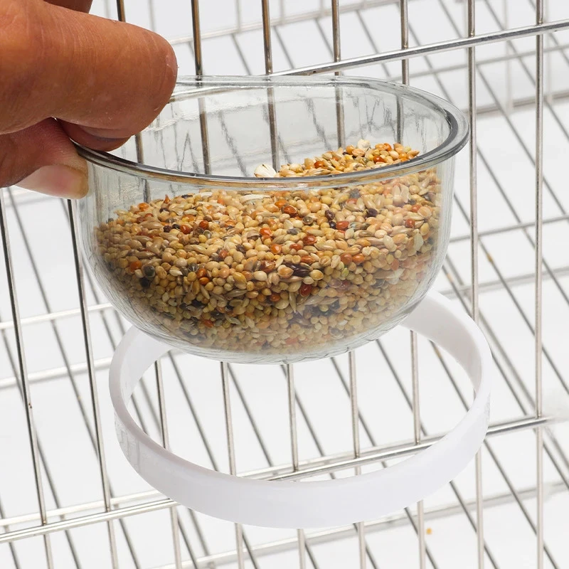 Comedouro para Pássaros e Papagaios de Plástico com Suporte Removível - Imagem 4