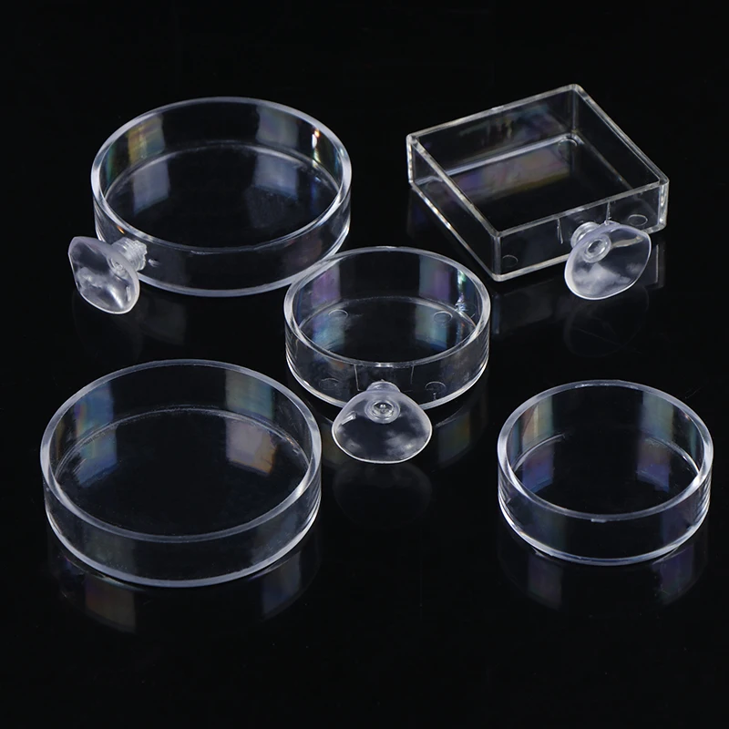 Alimentador de Aquário Redondo de Acrílico Transparente para Peixes e Camarões - Imagem 3