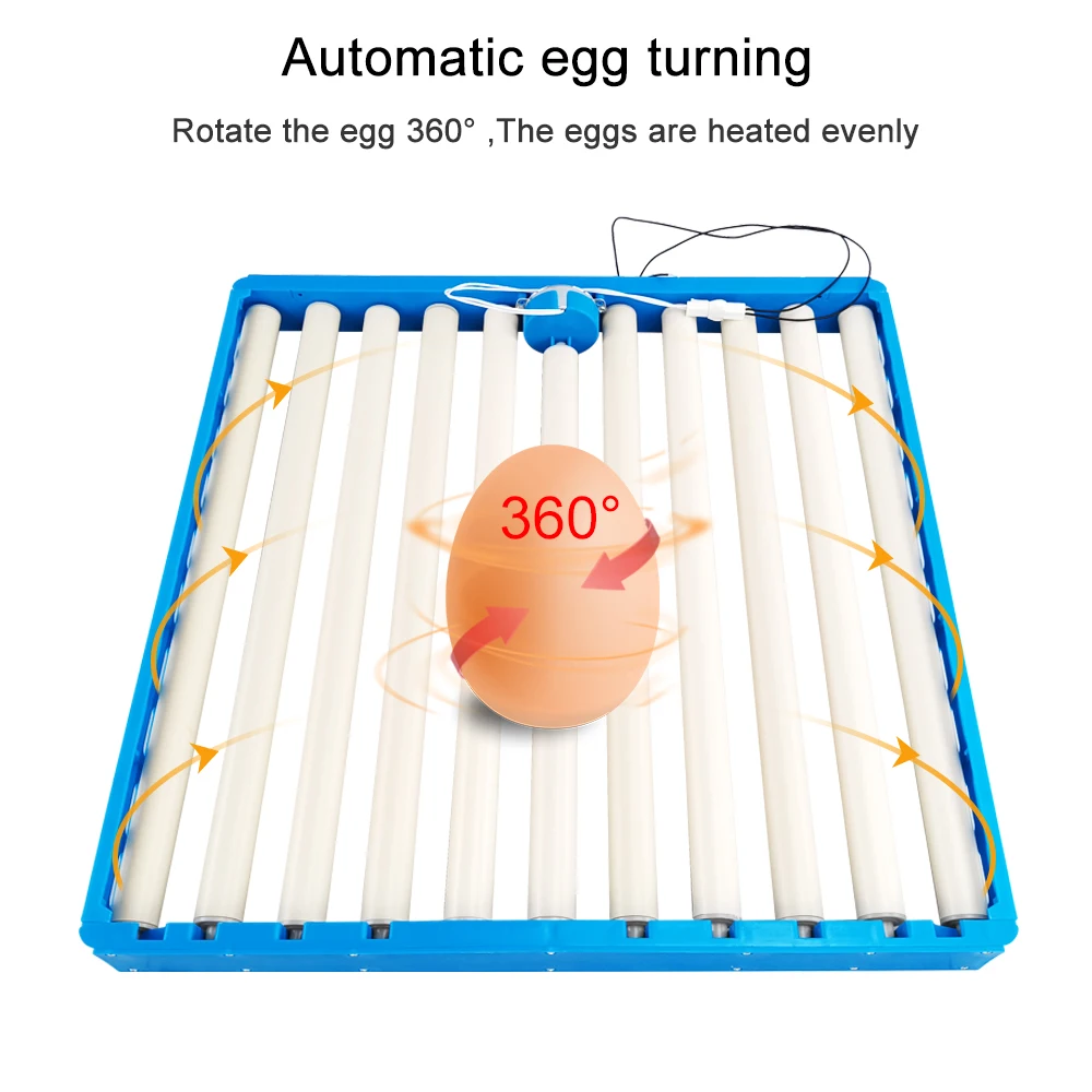 incubadora automática para ovos de aves