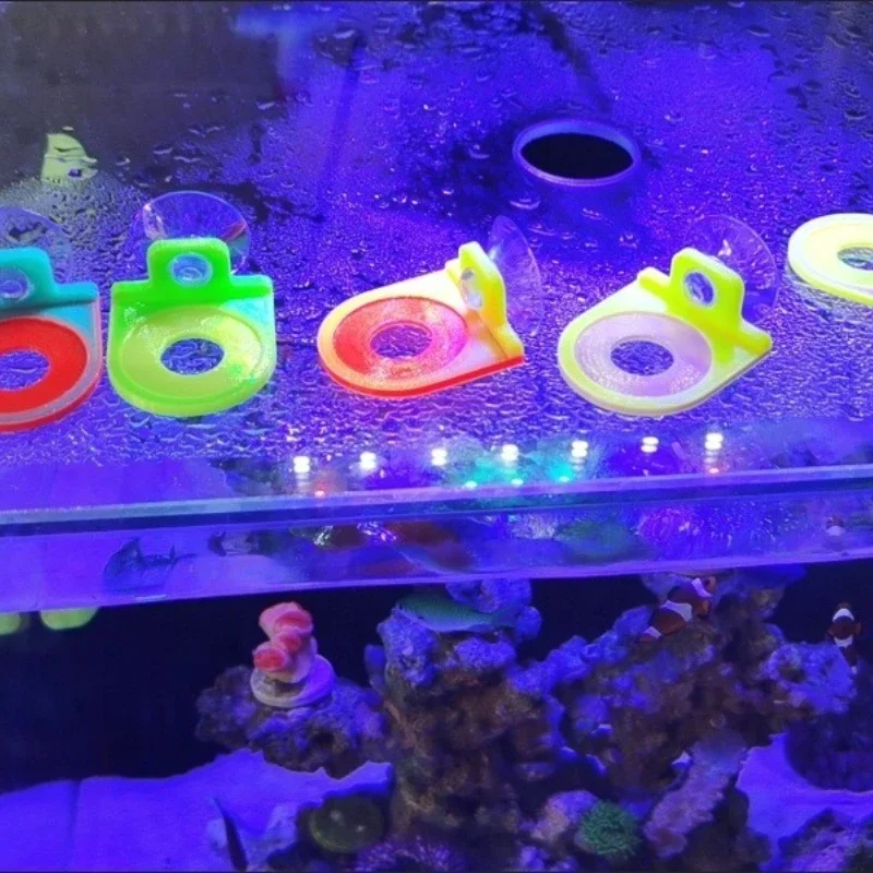 Suporte Coral SPS 3D PLA para Aquário 4x4 cm Furo 1,5 cm - Imagem 2