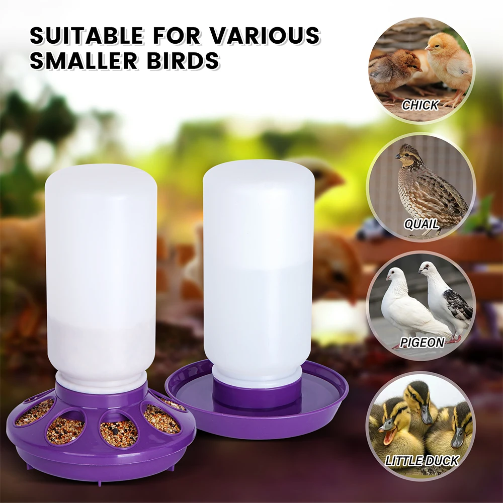 Bebedouro Automático para Aves 1L Balde para Água Fresca - Imagem 4