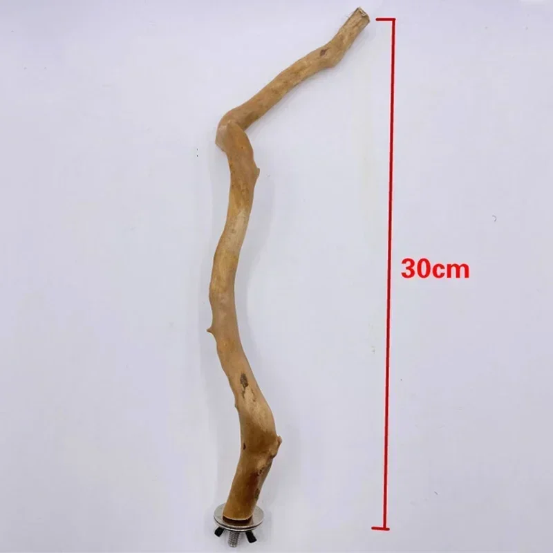 Poleiro de Madeira Natural para Pássaros 30 cm com Encaixe na Gaiola - Imagem 6