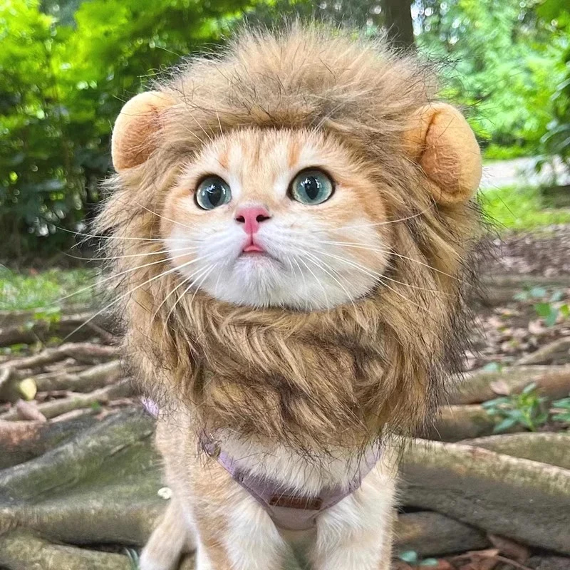 Chapéu de Leão para Gatos com Arnês Elástico - Imagem 2