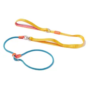 guia para cães de nylon com alças duplas