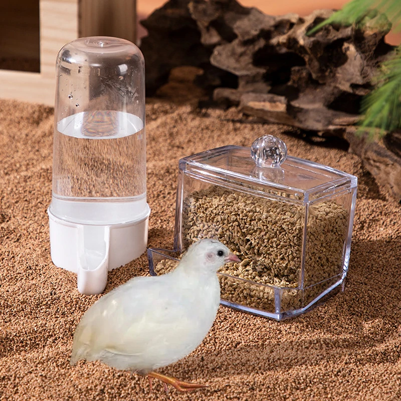 alimentador automático para aves