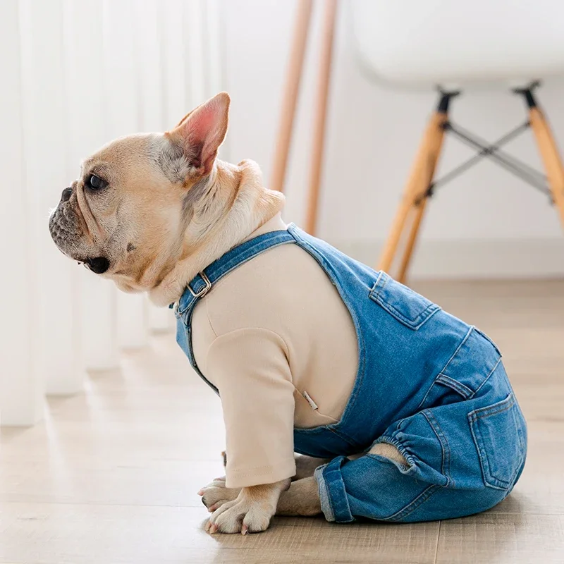 Casaco Jeans para Cães Outono Inverno, Moda Pet - Imagem 2