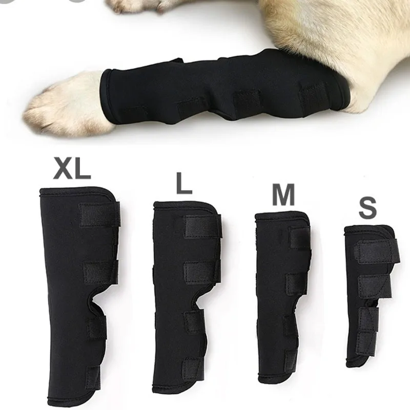 Joelheira para Cães de Recuperação Anti-Lambedura Pós-Operatória - Imagem 6