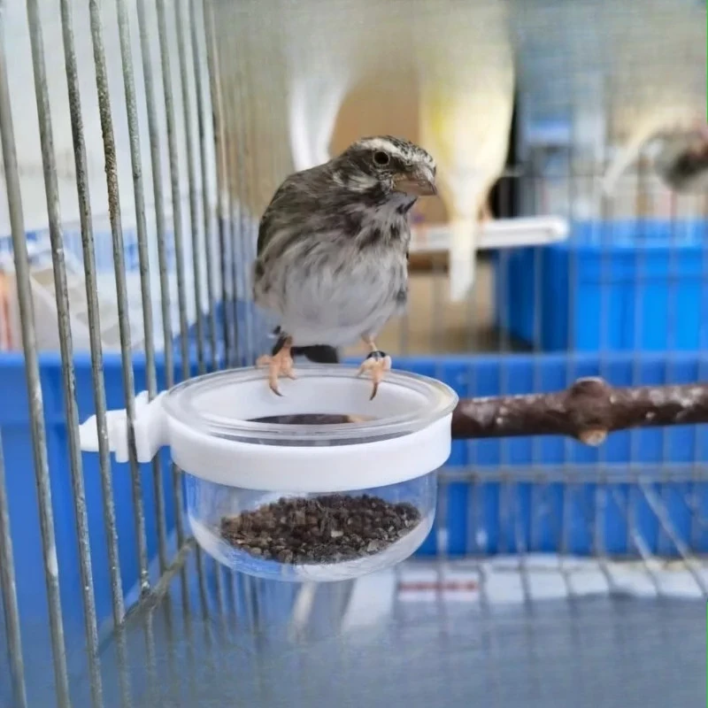 Comedouro para Pássaros e Papagaios de Plástico com Suporte Removível - Imagem 5