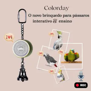 brinquedo gravável para papagaio