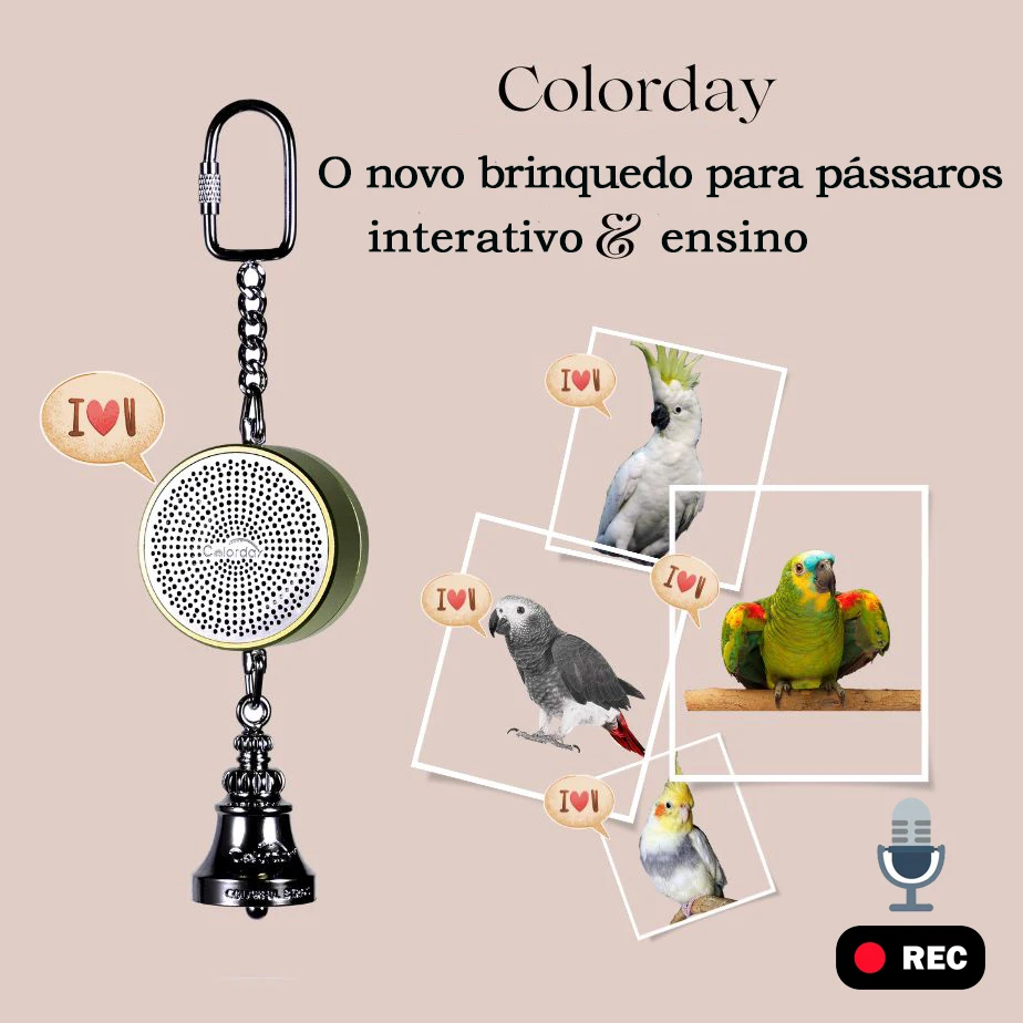 brinquedo gravável para papagaio
